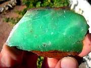 DSCN0890.JPG