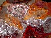 DSCN0920.JPG