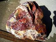 DSCN0925.JPG
