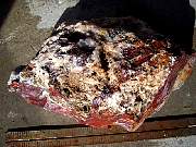 DSCN0930.JPG