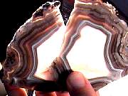 rough_agate-coyamito10-18_01-04.JPG