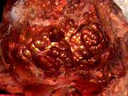 rough_agate-fire10-18_01-01.JPG