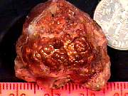 rough_agate-fire10-18_01-02.JPG