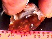 rough_agate-fire10-18_02-02.JPG
