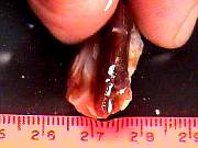 rough_agate-fire10-18_02-03.JPG