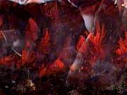 rough_agate-flame10-18_01-01.JPG