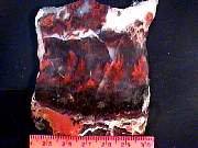 rough_agate-flame10-18_01-03.JPG