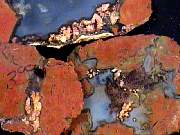 rough_agate-plume-priday10-18_01-01.JPG
