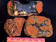 rough_agate-plume-priday10-18_01-03.JPG