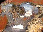 rough_agate-plume-priday10-18_02-01.JPG
