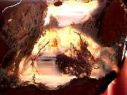 rough_agate-plume-priday10-18_02-04.JPG