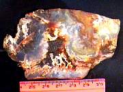 rough_agate-plume-rr10-18_01-02.JPG