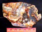 rough_agate-plume-rr10-18_01-03.JPG