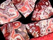 rough_agate-rodeo10-18_01-01.JPG