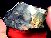 rough_jasper-larsonite10-18_01-01.JPG