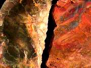 rough_jasper-morrisonite10-18_01-04.JPG