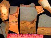 rough_jasper-owyhee10-18_01-01.JPG