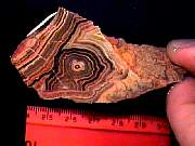 rough_onyx-flower10-18_01-01.JPG