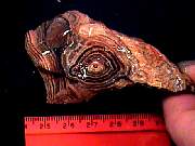 rough_onyx-flower10-18_01-02.JPG