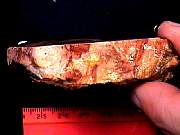 rough_onyx-flower10-18_01-03.JPG