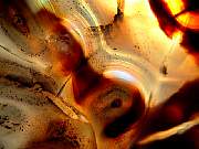 DSCN0989.JPG
