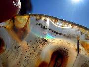 DSCN0996.JPG