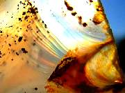 DSCN1005.JPG
