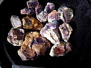DSCN1007.JPG