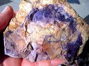 DSCN1009.JPG