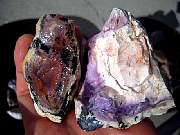 DSCN1011.JPG