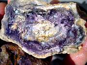 DSCN1020.JPG