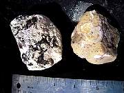 DSCN1021.JPG