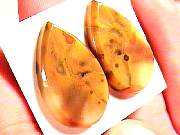 cab_jasper-morrisonite11-16_01-02.jpg