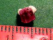 mineral_red-beryl11-16_04-05.jpg