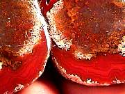 polished_agate-coyamito11-16_01-01.jpg