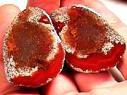 polished_agate-coyamito11-16_01-02.jpg