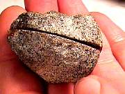 polished_agate-coyamito11-16_01-04.jpg
