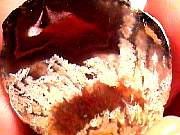 polished_agate-coyamito11-16_02-01.jpg