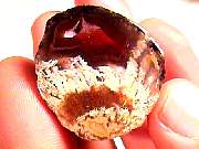 polished_agate-coyamito11-16_02-02.jpg