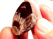 polished_agate-coyamito11-16_02-03.jpg