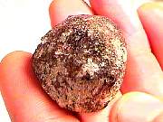 polished_agate-coyamito11-16_02-04.jpg