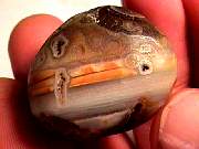 rough_agate-rainflower11-16_01-01.jpg