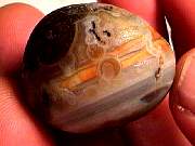 rough_agate-rainflower11-16_01-02.jpg