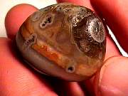 rough_agate-rainflower11-16_01-03.jpg