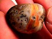 rough_agate-rainflower11-16_01-04.jpg