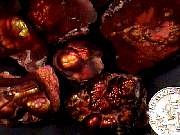 rough_agate-fire1-5_01-03.jpg