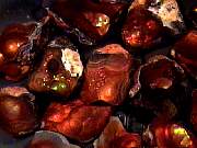 rough_agate-fire1-5_01-05.jpg