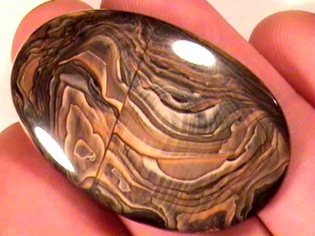 cab_jasper-sahara1-17_01-03.jpg