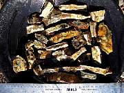 rough_jasper-tahoma1-24_01-01.JPG
