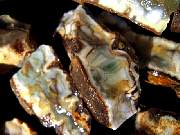 rough_jasper-tahoma1-24_01-05.JPG